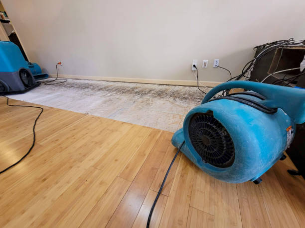 Professional Water Damage Repair technician working in Alvord, TX